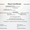 CIPC Free Share Certificate Template - South Africa